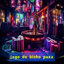 jogo do bicho puxa de dona maria